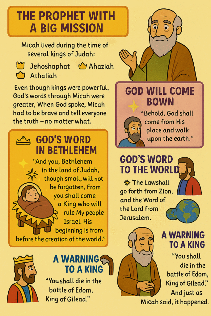 Nehasse 22 Infographic